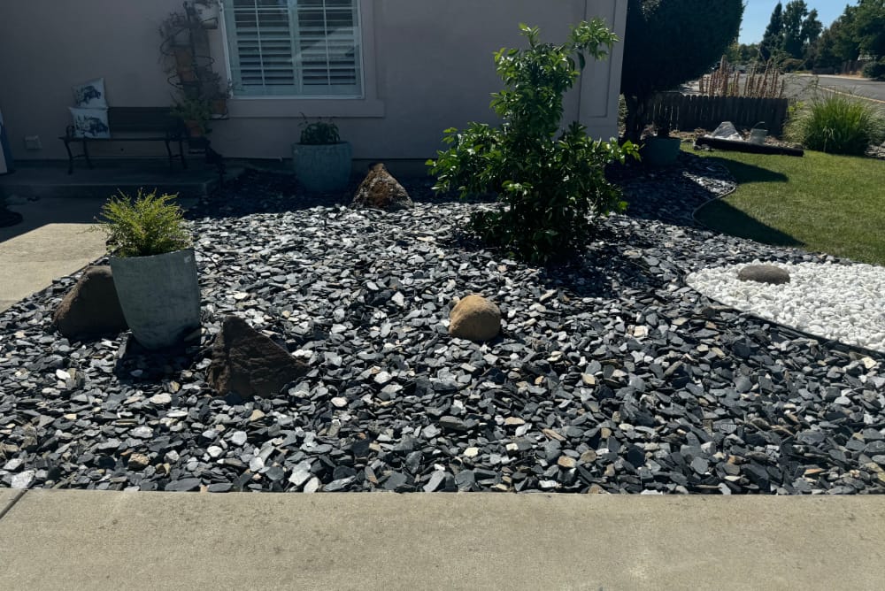 Front yard rock landscape with black rocks and some nice plants