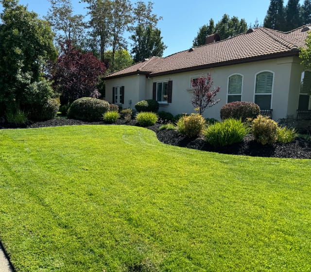 Freshly mowed front yard with beautoful landscaping